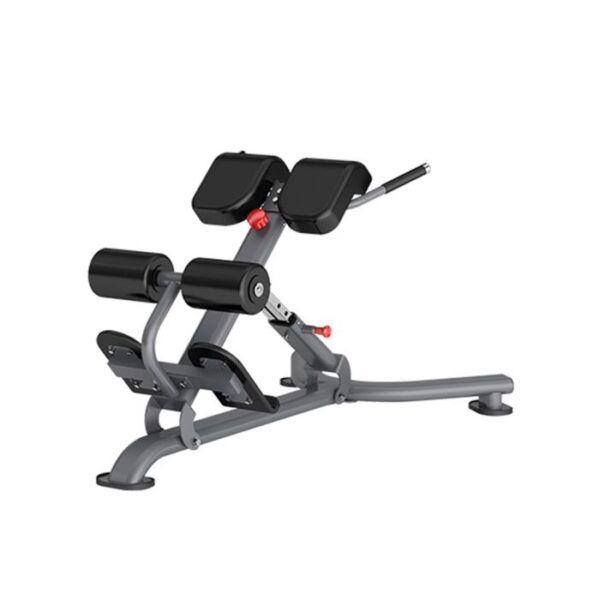 Athletic Vision Dynamic Line - Roman Chair - Image 2