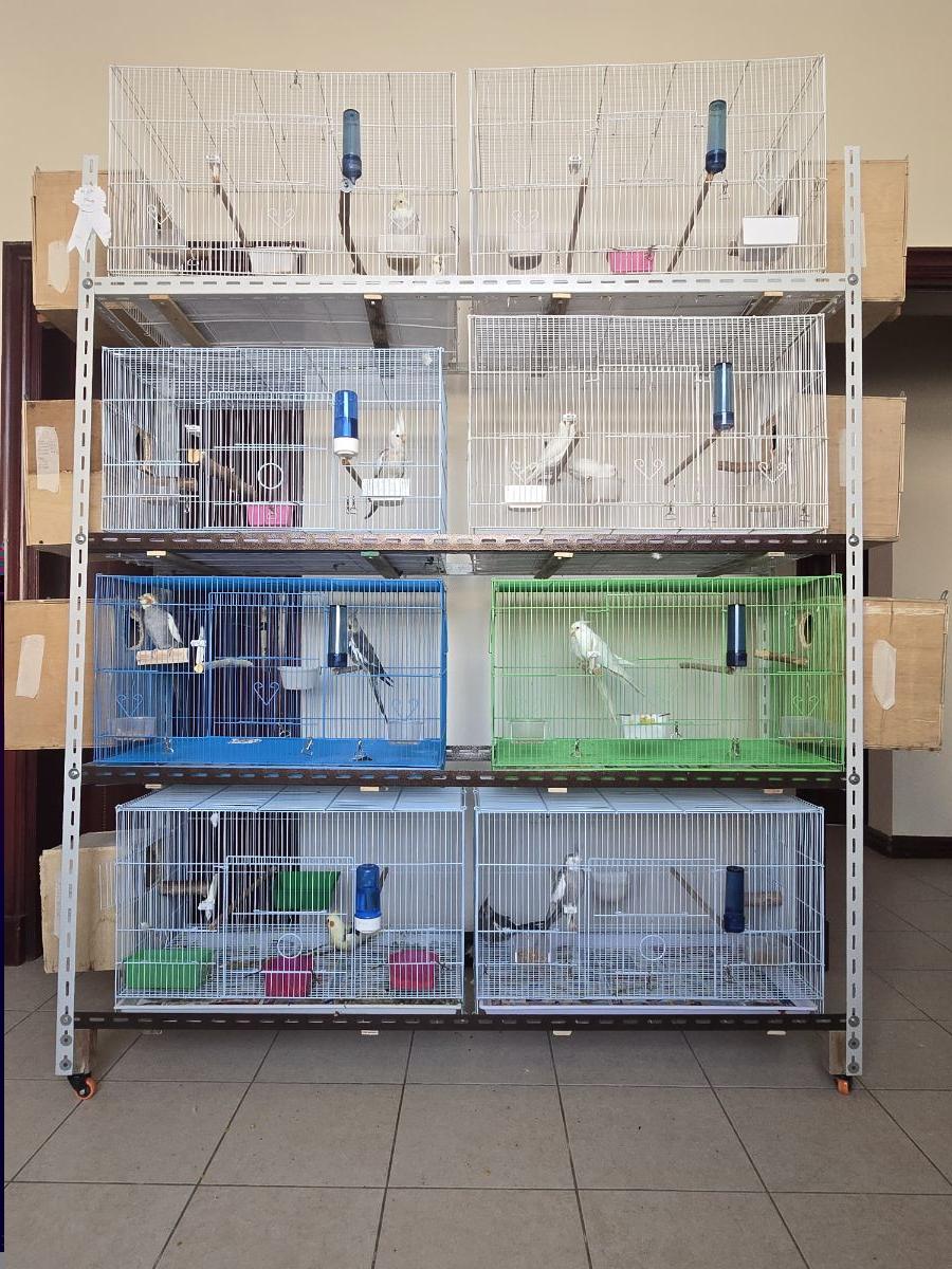 Cage stand - Image 1
