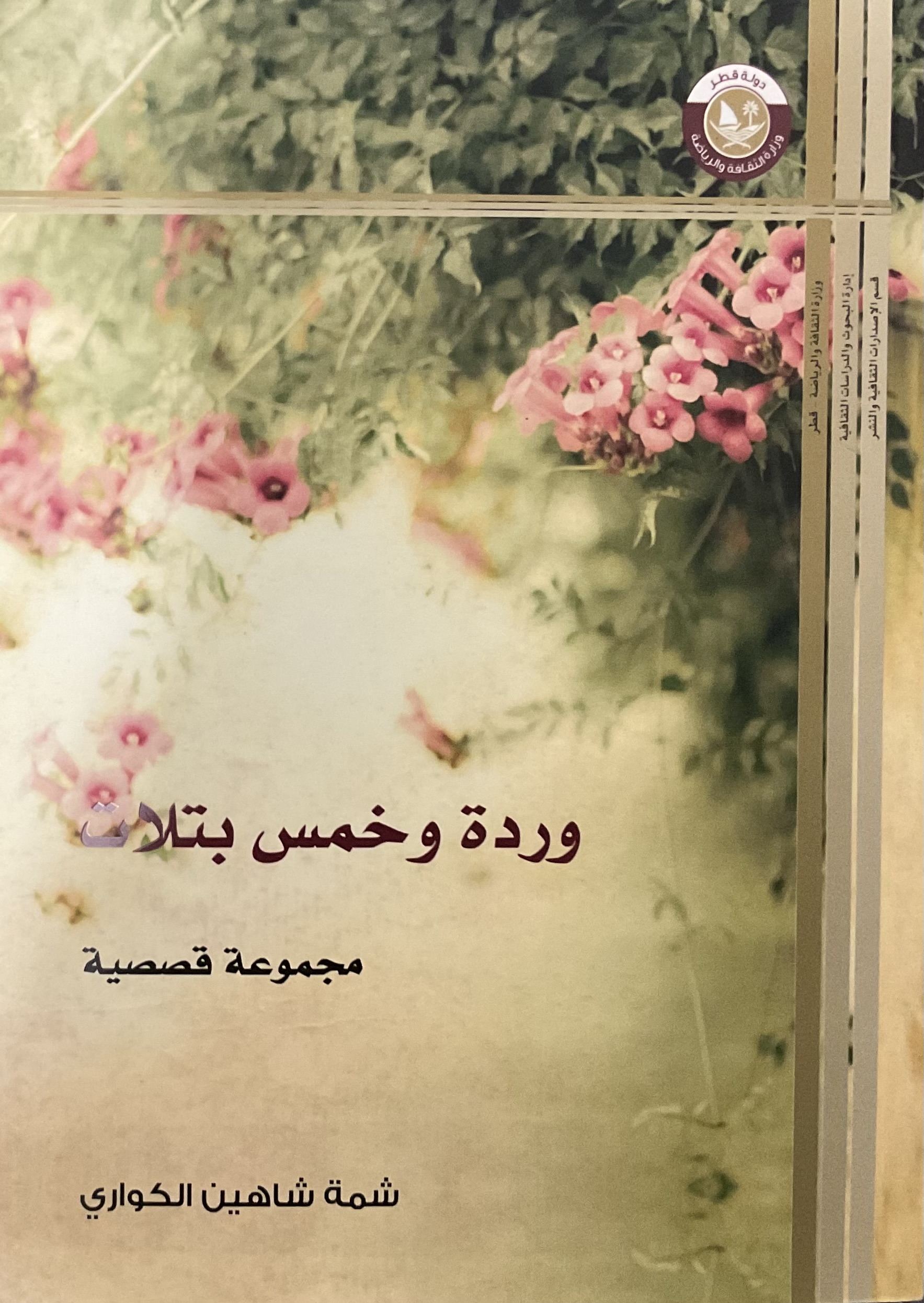Twenty Mixed Books + Free Surprise Gift عشرون كتابًا متنوعًا + هدية مجانية - Image 12