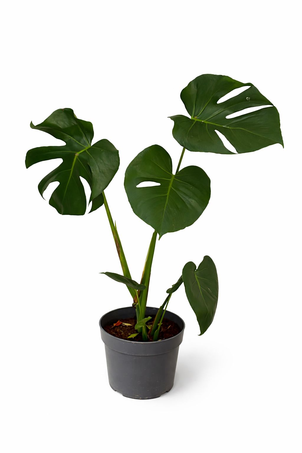  INDOOR AIR PURIFIERS  - Image 23