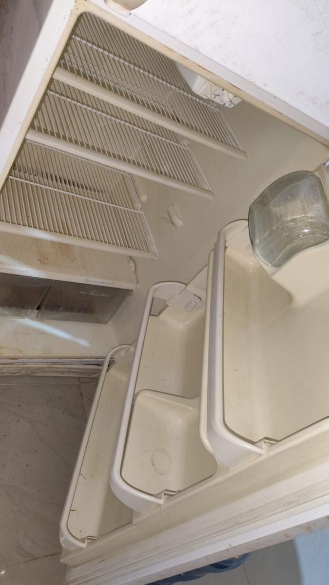 460 L Refrigerator for FREE - Image 2