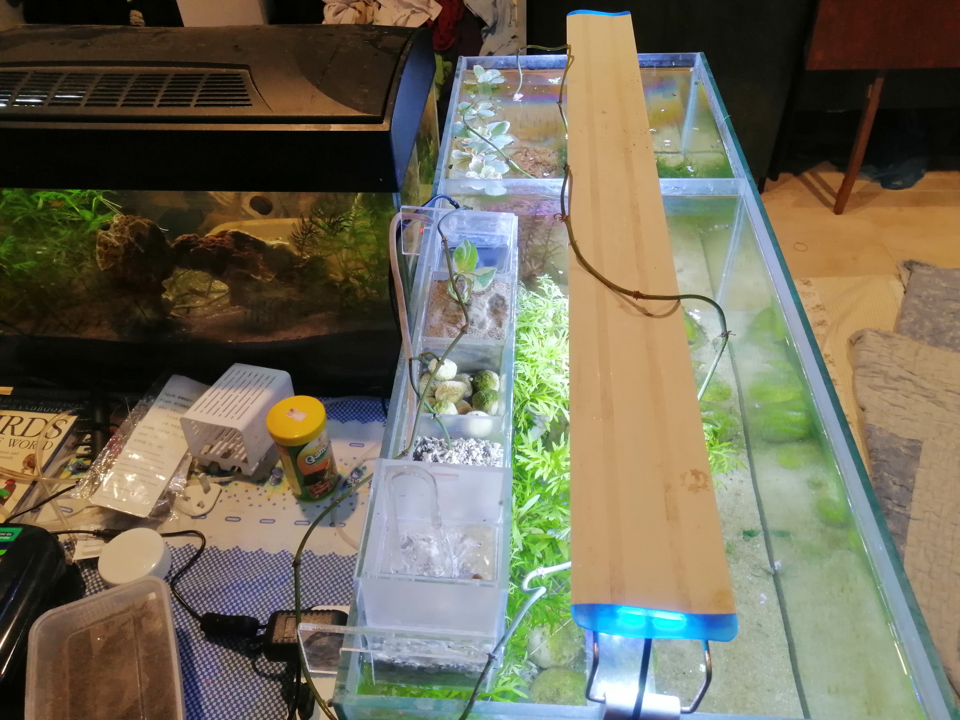 Fish tank - Image 2