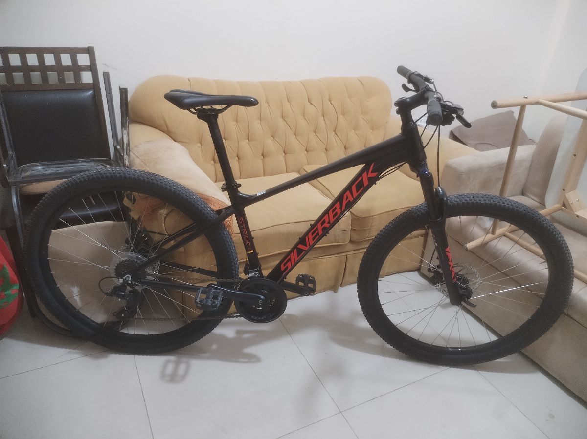 SILVERBACK 29er - Image 1