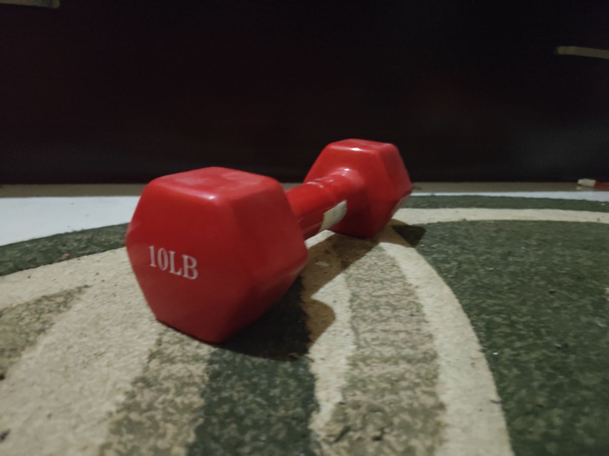 10lbs dumbell - Image 1