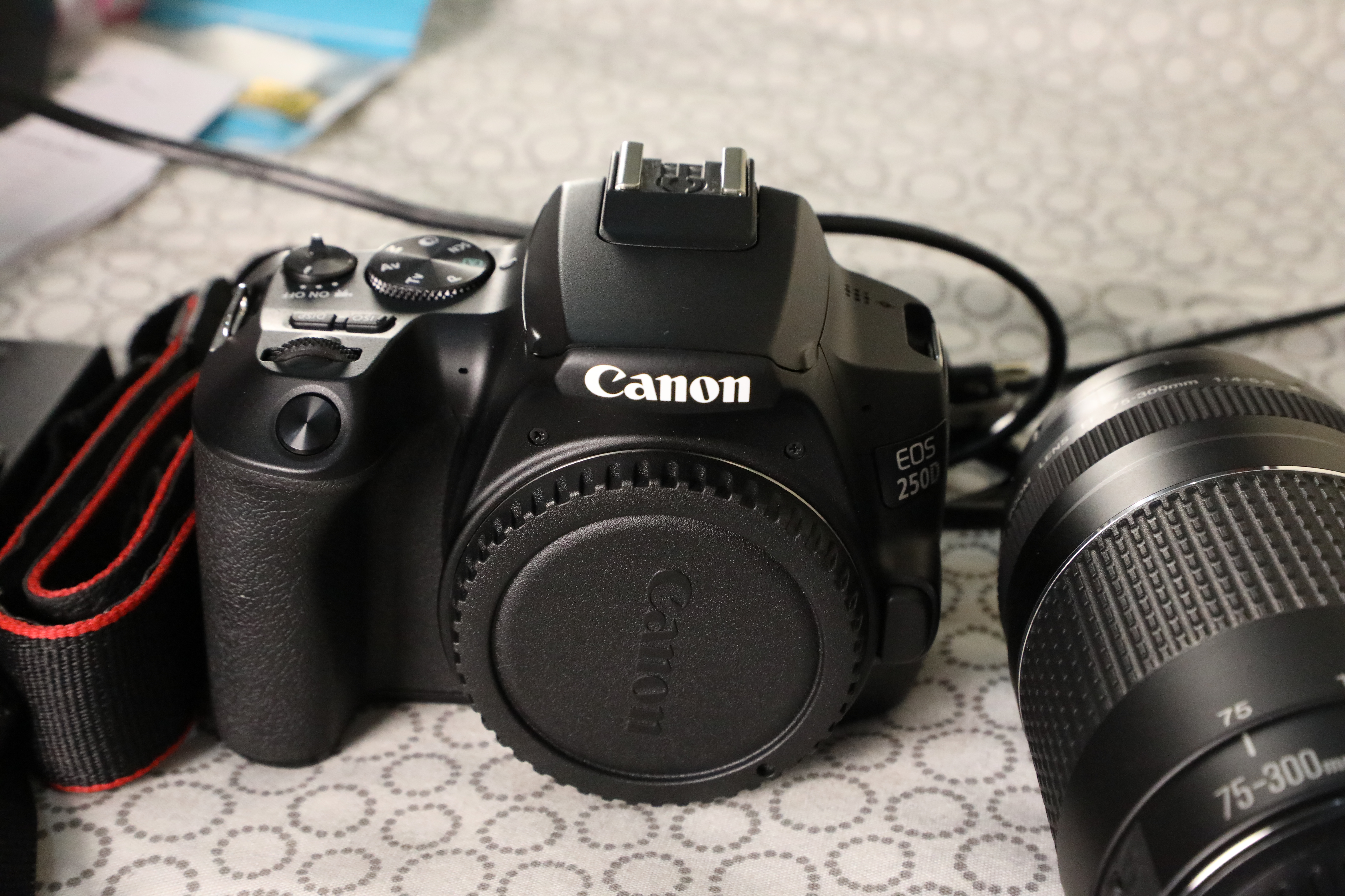 CANON EOS 250D WITH 2 LENS - Image 4