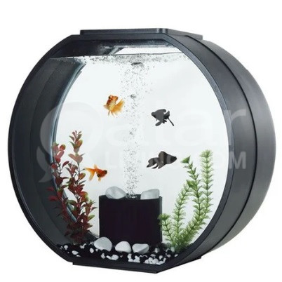 GOLD FISHES + FISH TANK WITH MOTOR & STONES IN GOOD CONDITION - Image 1