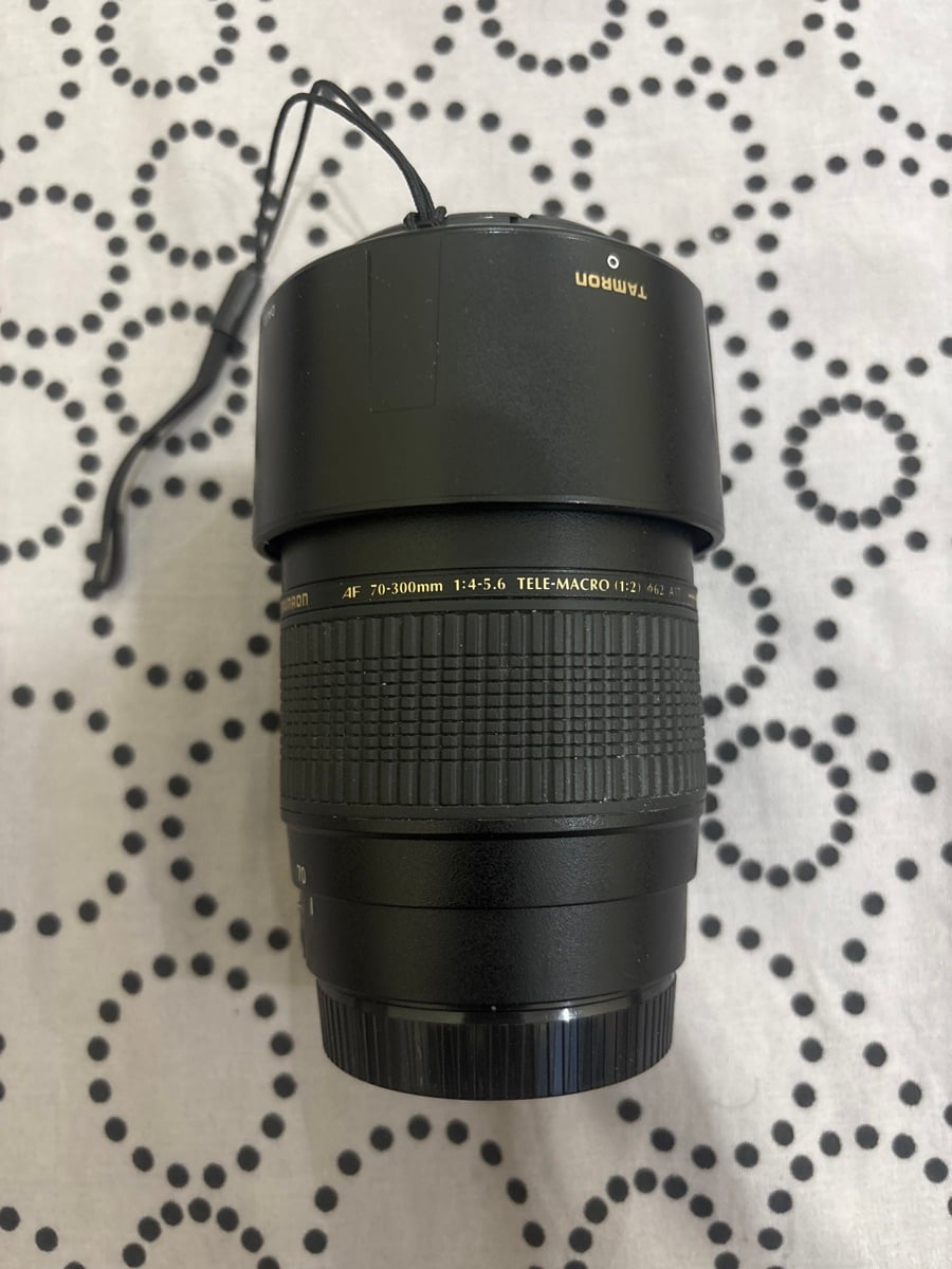Canon Eos-1 D Mark iii - Image 5