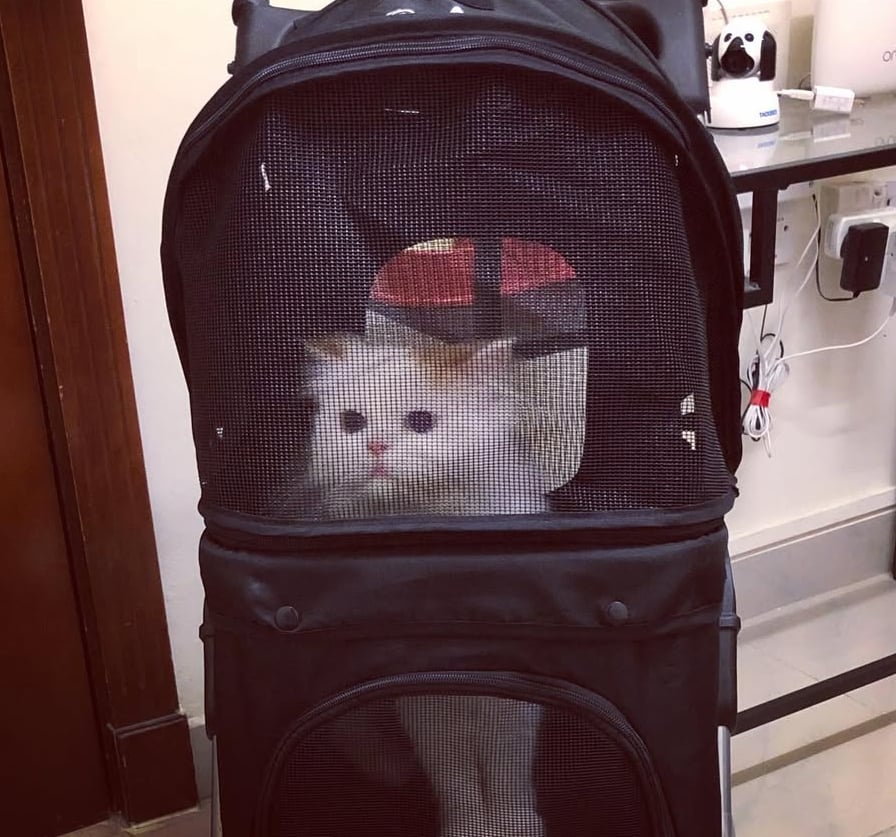 VIVO Black 4-Wheel Foldable Pet Stroller for Cat & Dog - Image 3