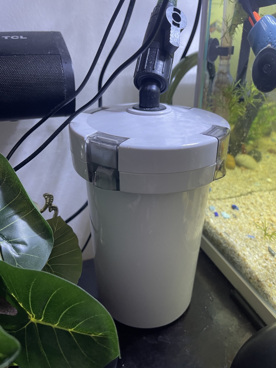 13 Gallon Glass Aquarium with Full accessories - Image 2