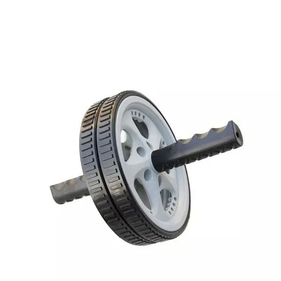 Exercise double wheel - Image 1