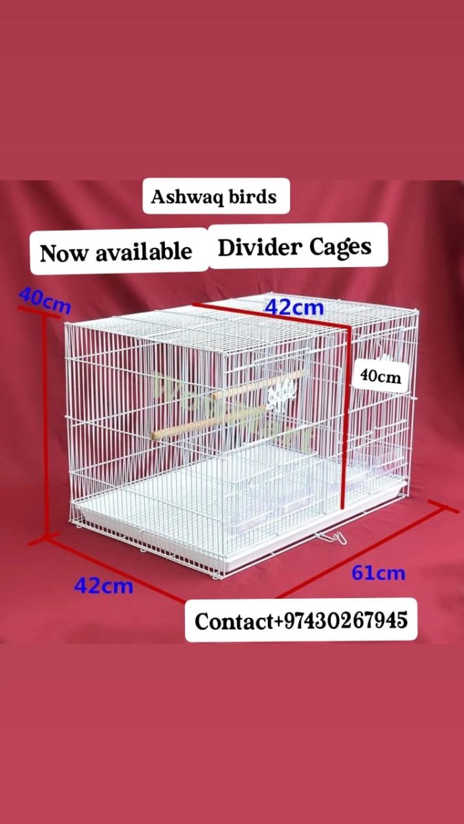 Birds cages devidar new - Image 1