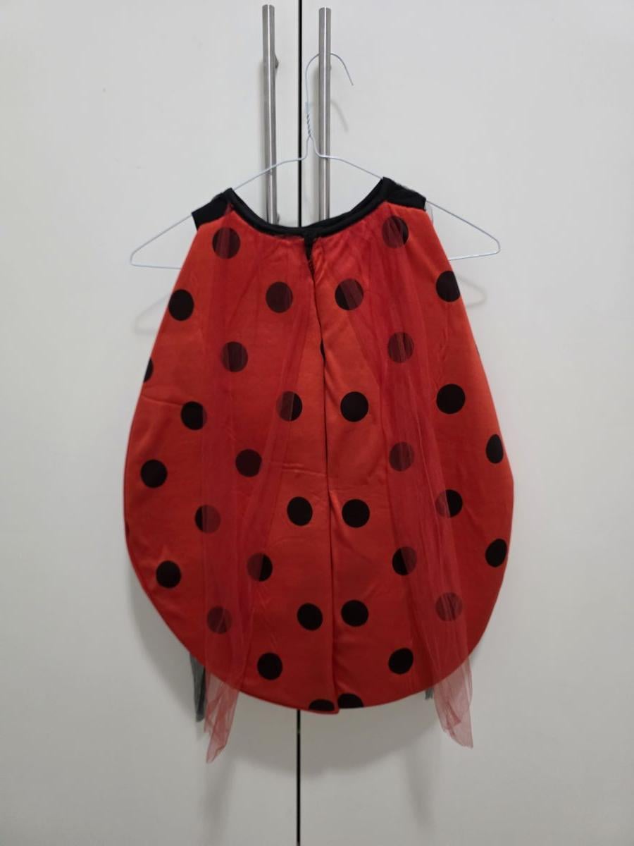 Lady bug costume - Image 1