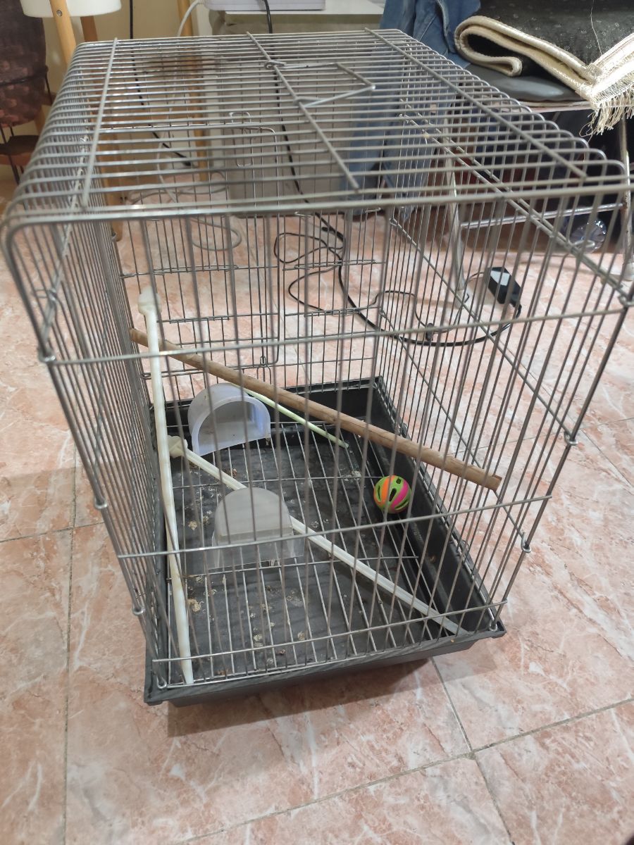Birds cage used very less - Image 4
