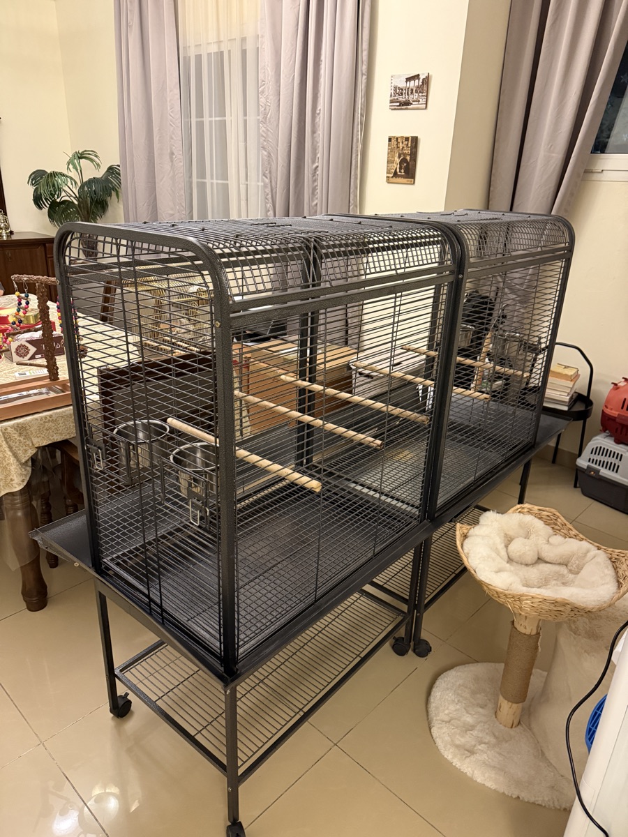 MASSIVE Bird Cage (with surround catch) - Image 2