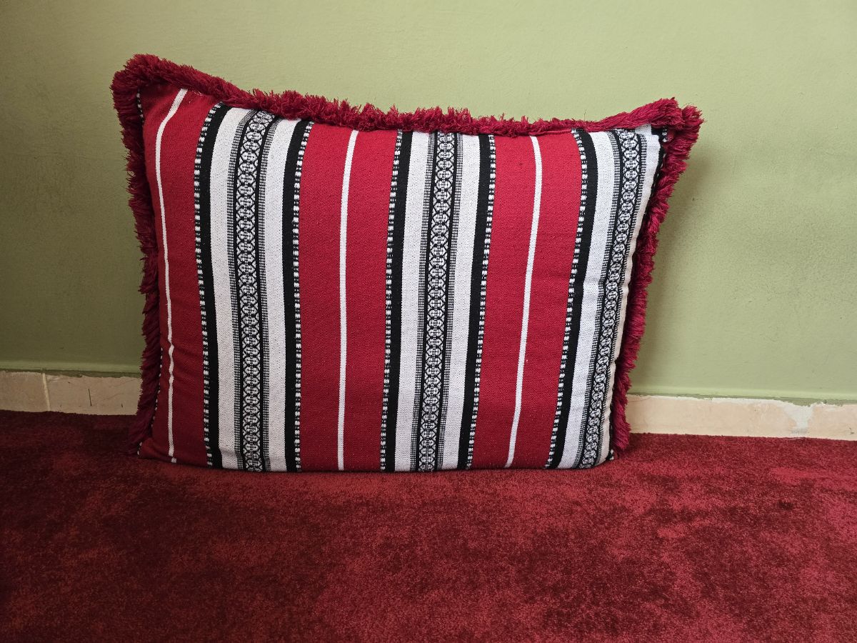 2 seater sofa, cloth stand, 5majlis pillows,laundry storage iron stand and iron - Image 7