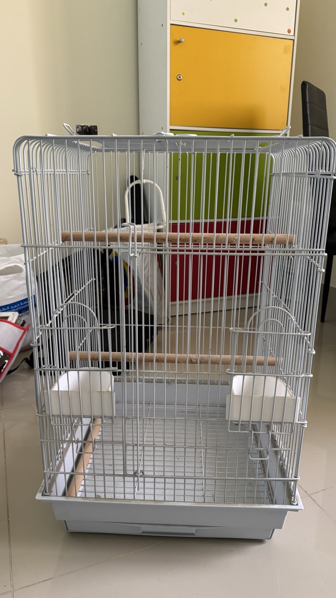 Big Bird Cage - Image 3