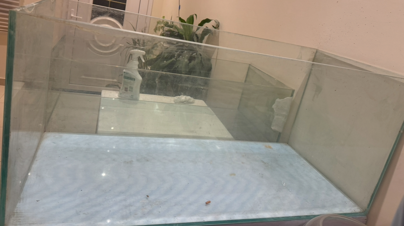 Aquarium and accessories for sale - Image 8