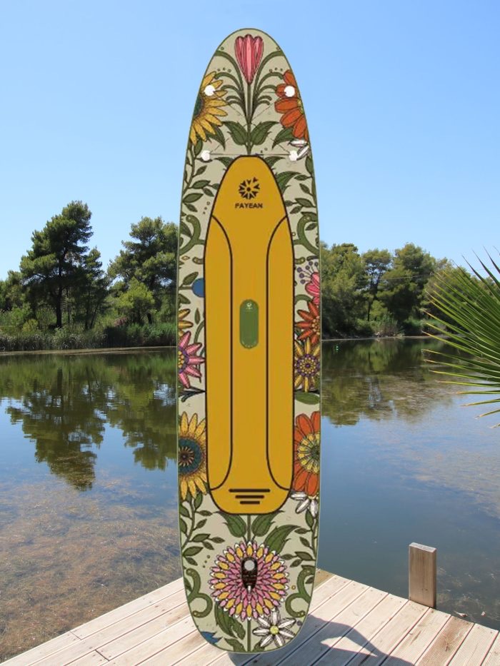 New Paddle board - Image 3