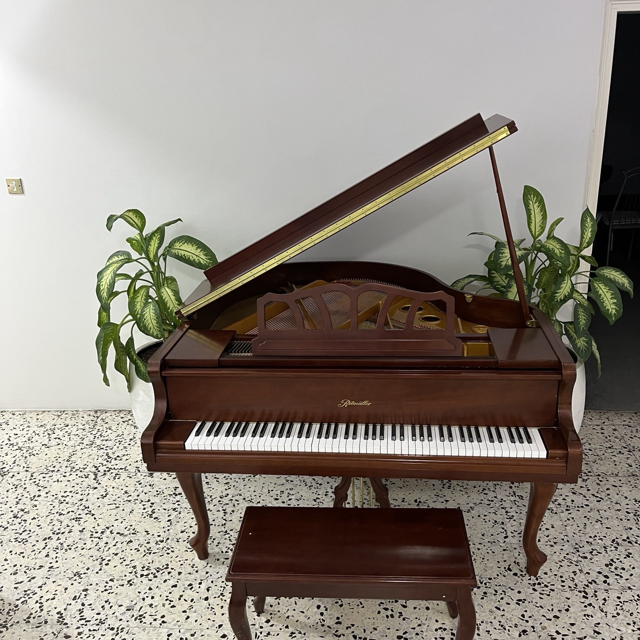 Heritage Designer Grand Piano Ritmuller GP 148 R2 - Image 3