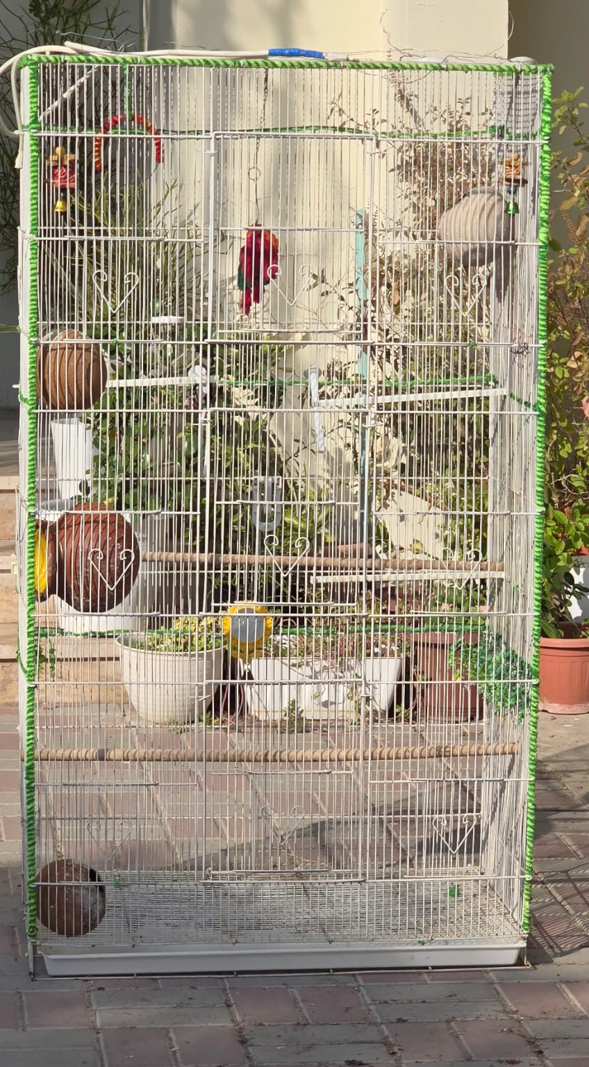 BIG CAGE FOR BIRDS - Image 1