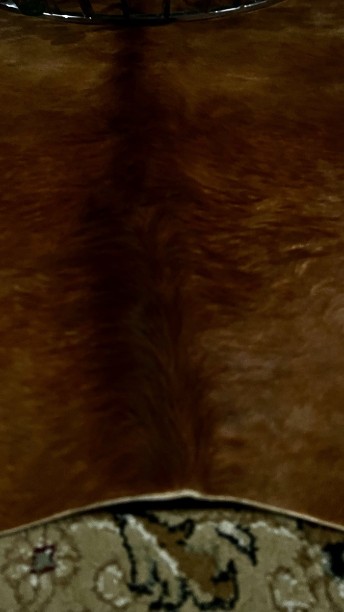 Natural luxury fine cowhide skin for sale - Image 2