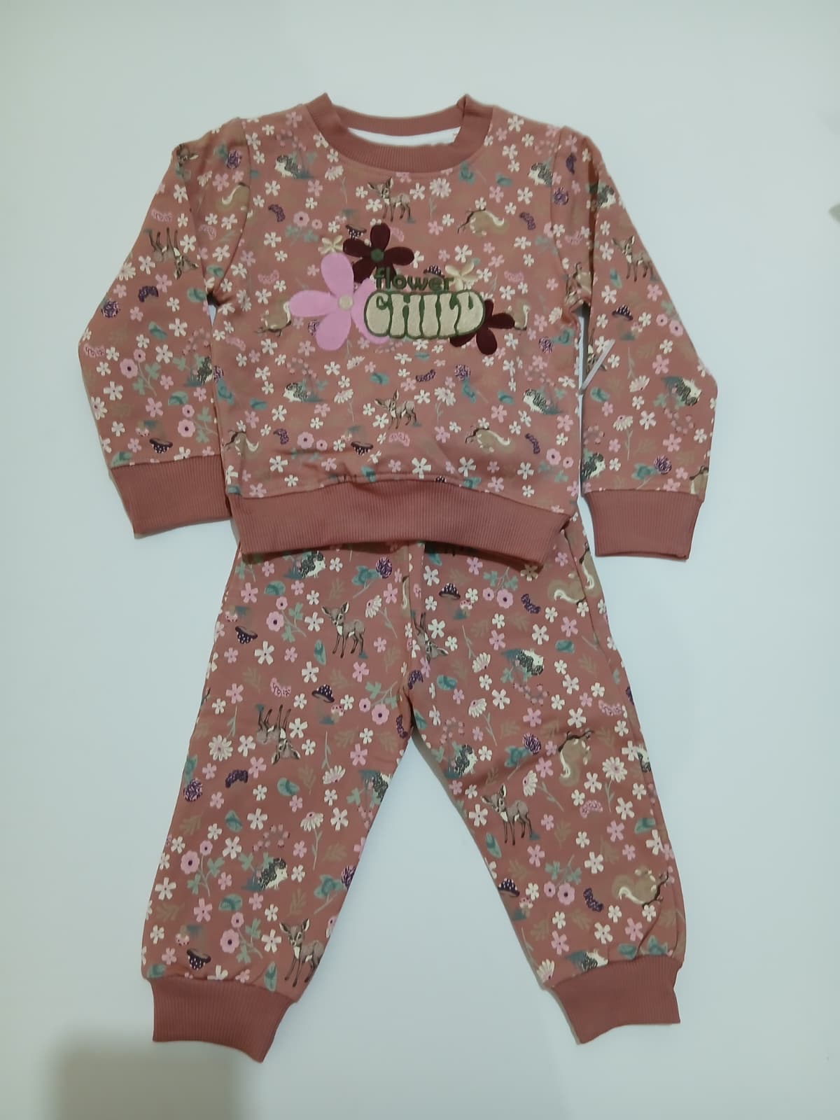 Brand New Winter Suit for Baby Girl - Image 2