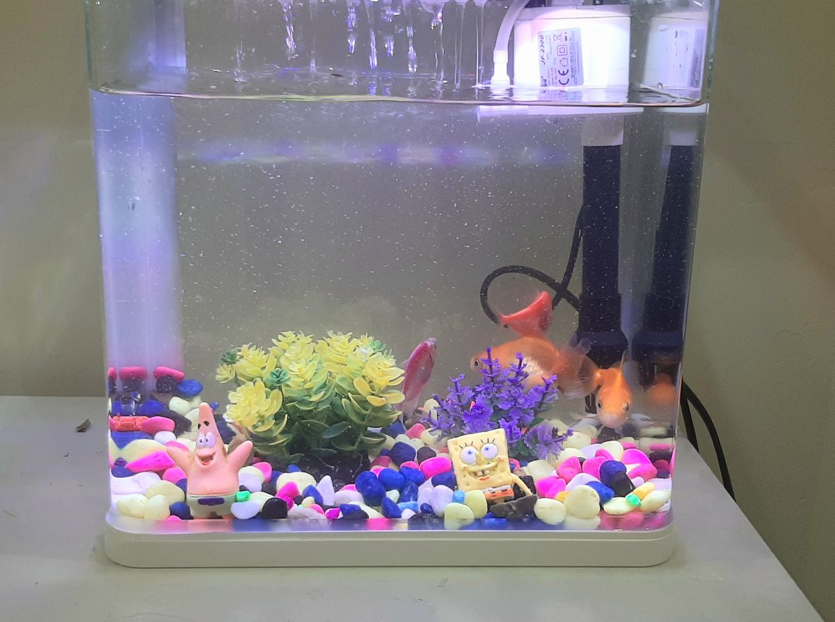 Fish tank - Image 5