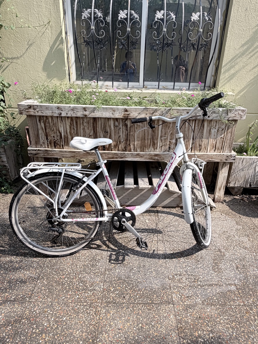 Atala Maggie, An Italian brand cycle for Girls - Image 2
