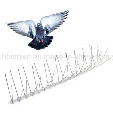 Applying Bird Repellent Gel/ Fixing Bird Spikes House, Office Cleaning - Image 6
