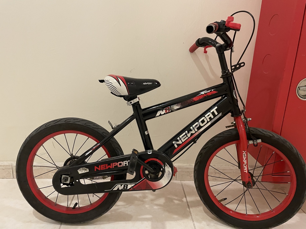 fish with fish tank Bicycles and Airtel receiver single steel bed - Image 15
