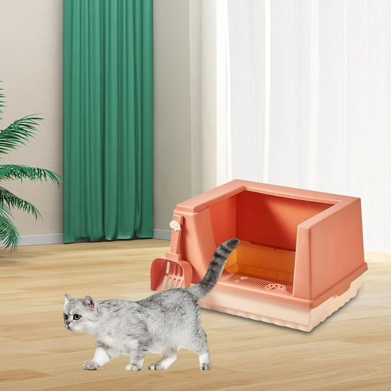 Cat letter box scope free - Image 2
