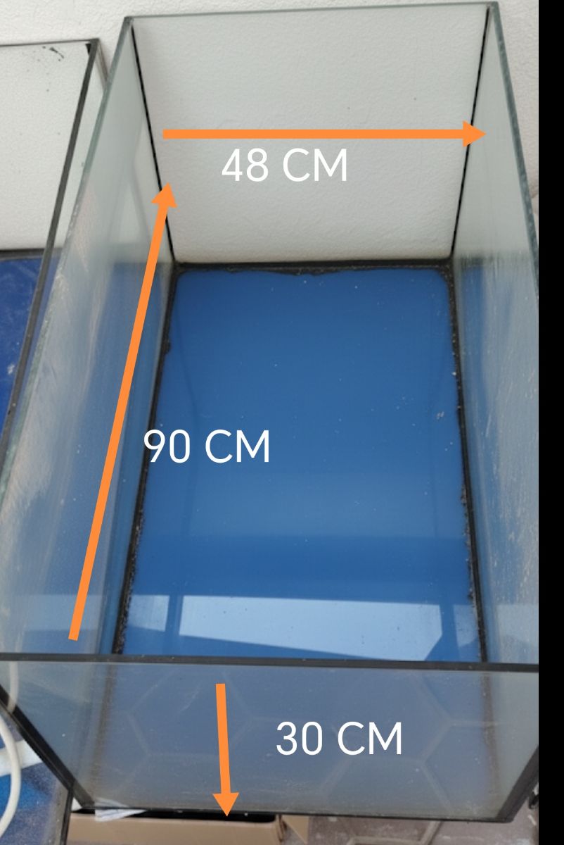 FISH TANK - Image 1