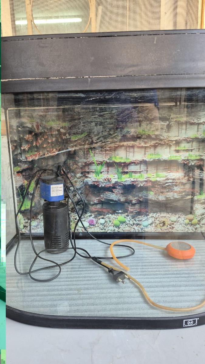 Fish aquarium - Image 2
