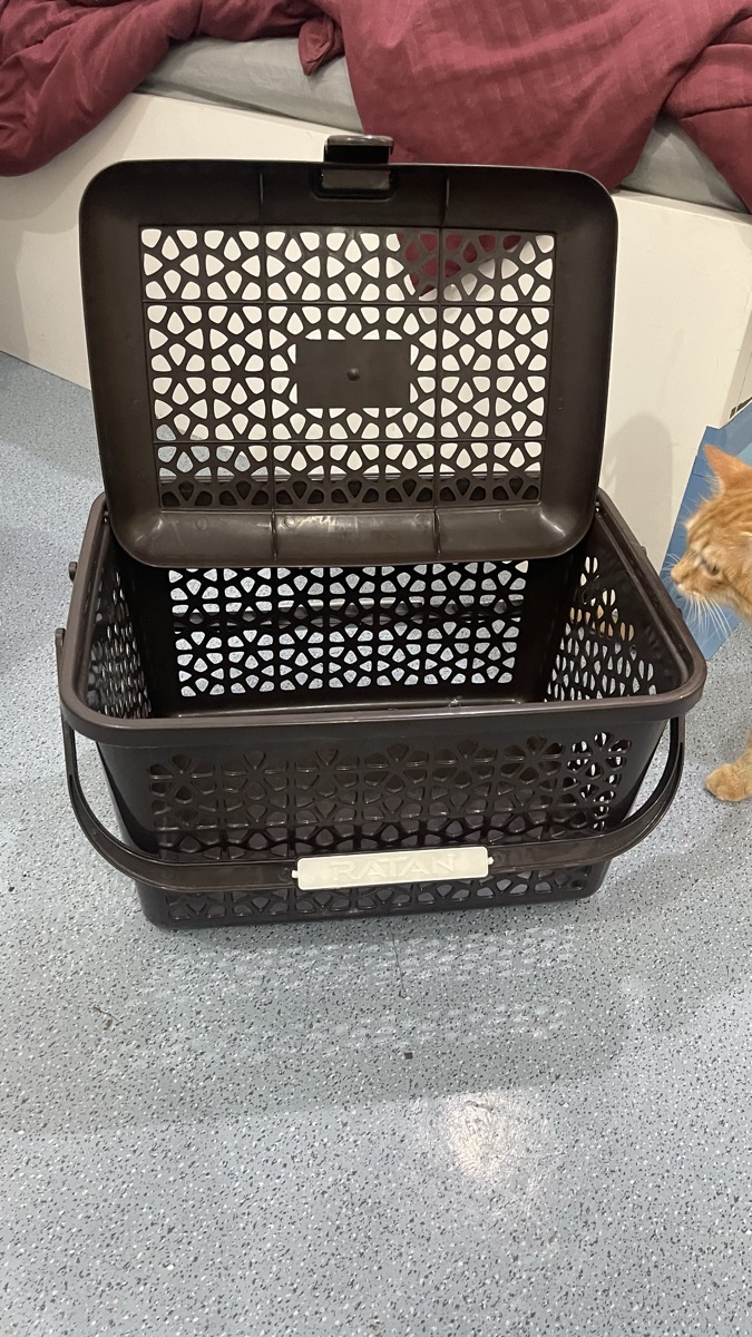 Storage and Carry Basket available for sale. Urgent as Leaving - Image 4