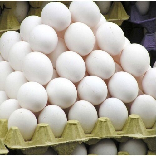 White eggs - Image 2