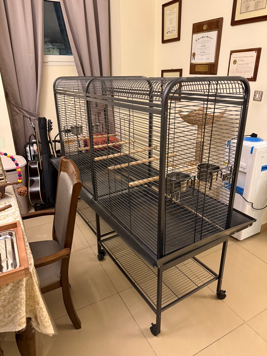 MASSIVE Bird Cage (with surround catch) - Image 4