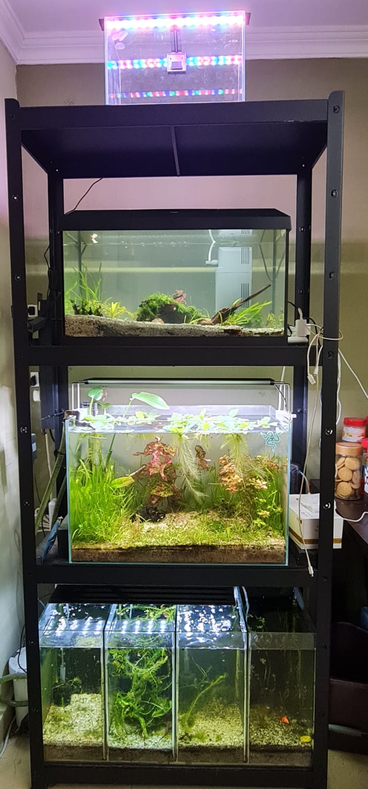 Aquarium (Extra clear glass) - Image 2