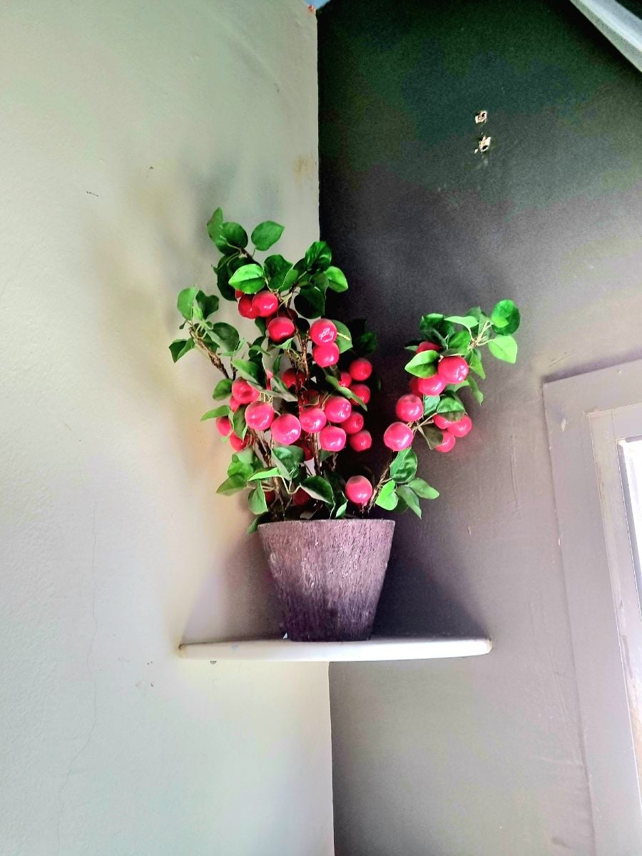 Cherry Artificial Home Decor Plant - Image 2