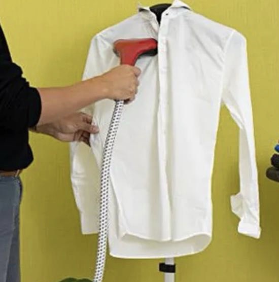 Vertical Garment Iron Steamer - Image 1