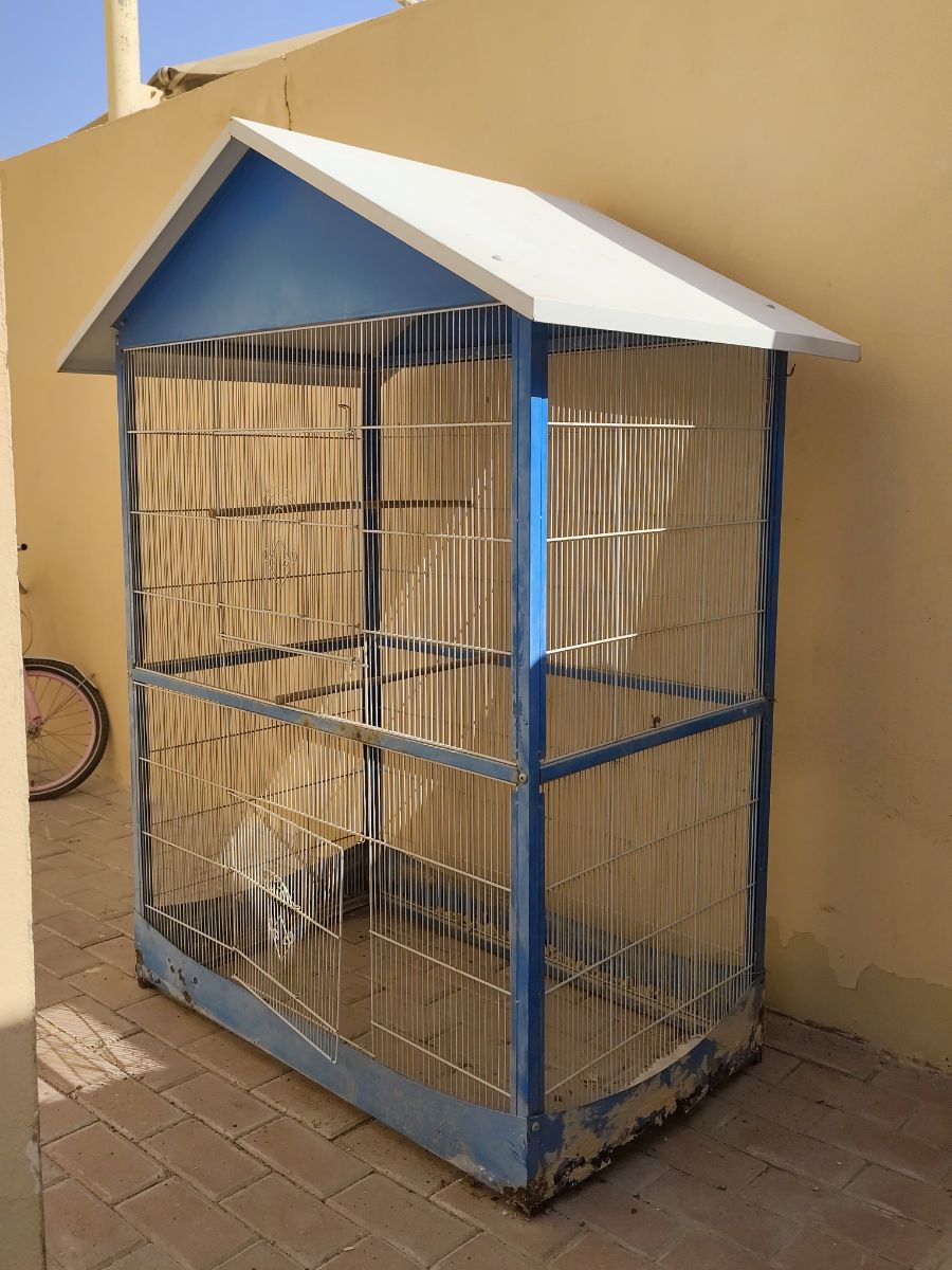 Big Birds cage - Image 3