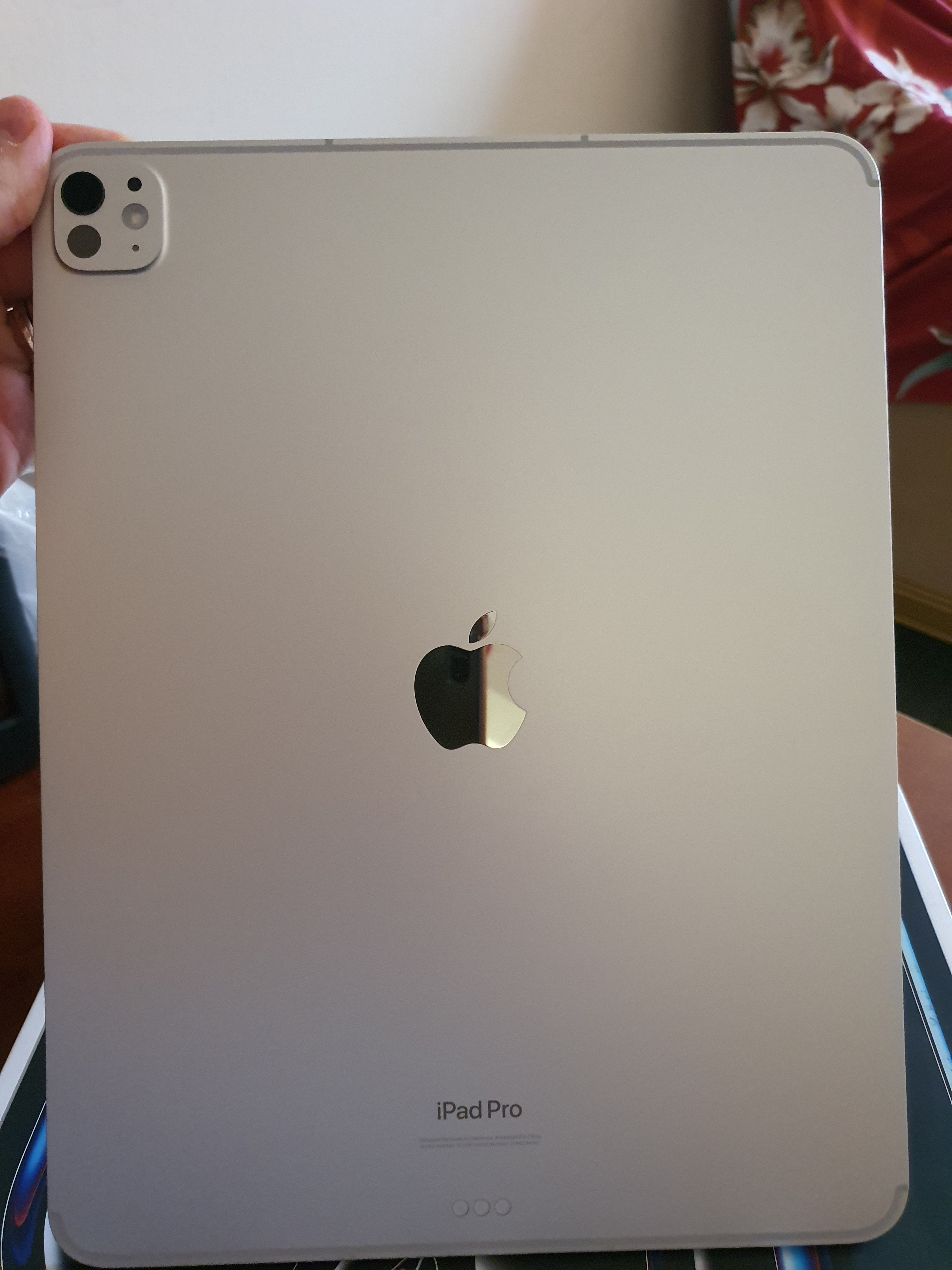 iPad Pro 13" (7th Gen M4 Chip) – Wi-Fi + Cellular – 256GB – Silver - Image 2