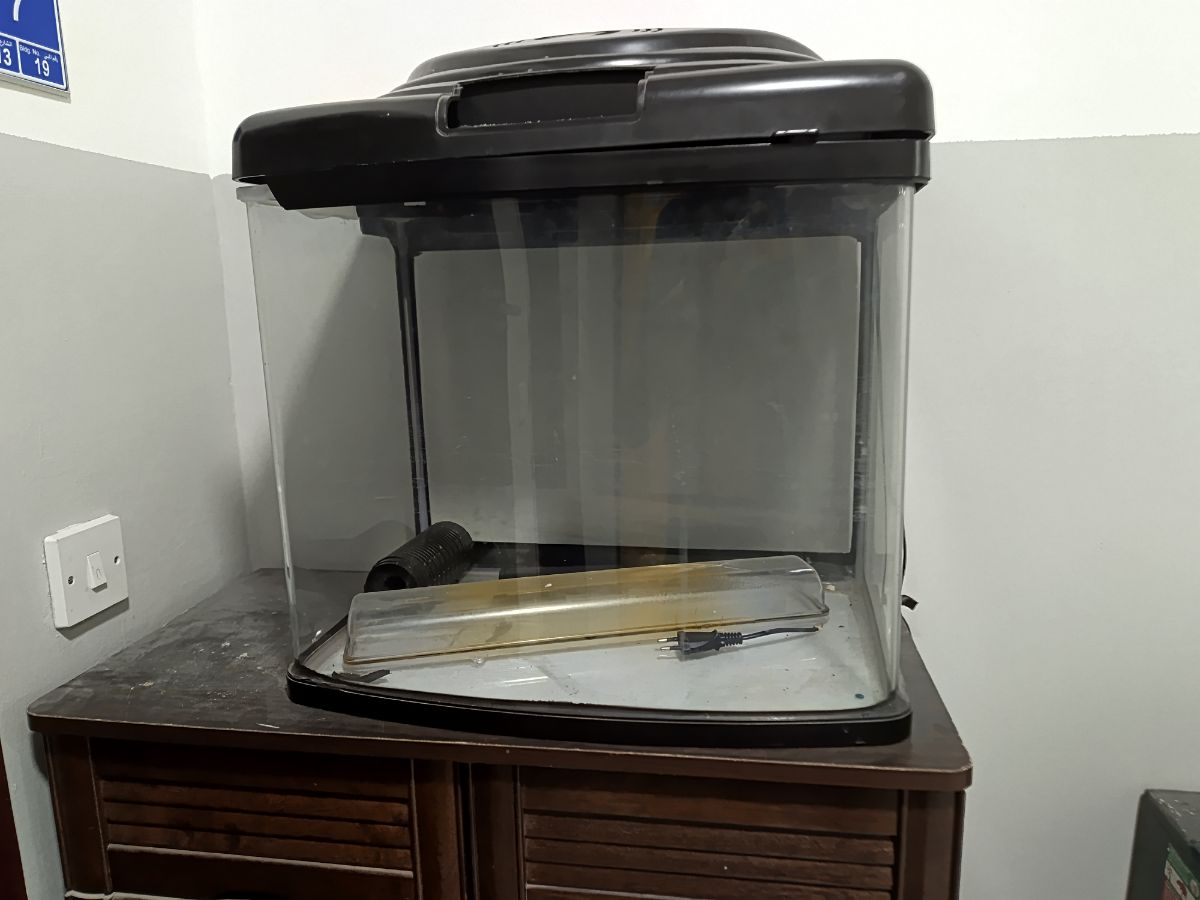 Fish tank - Image 3