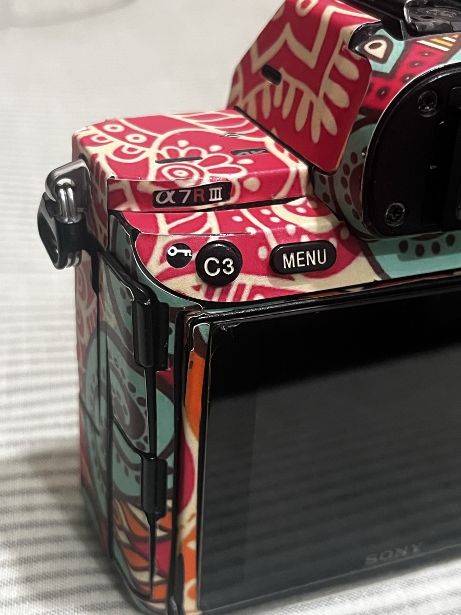 Sony Alpha 7R3 - Image 1