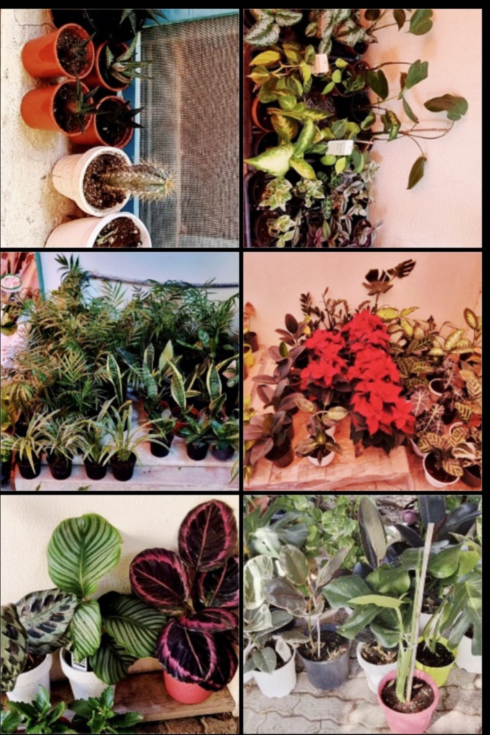  INDOOR AIR PURIFIERS  - Image 9