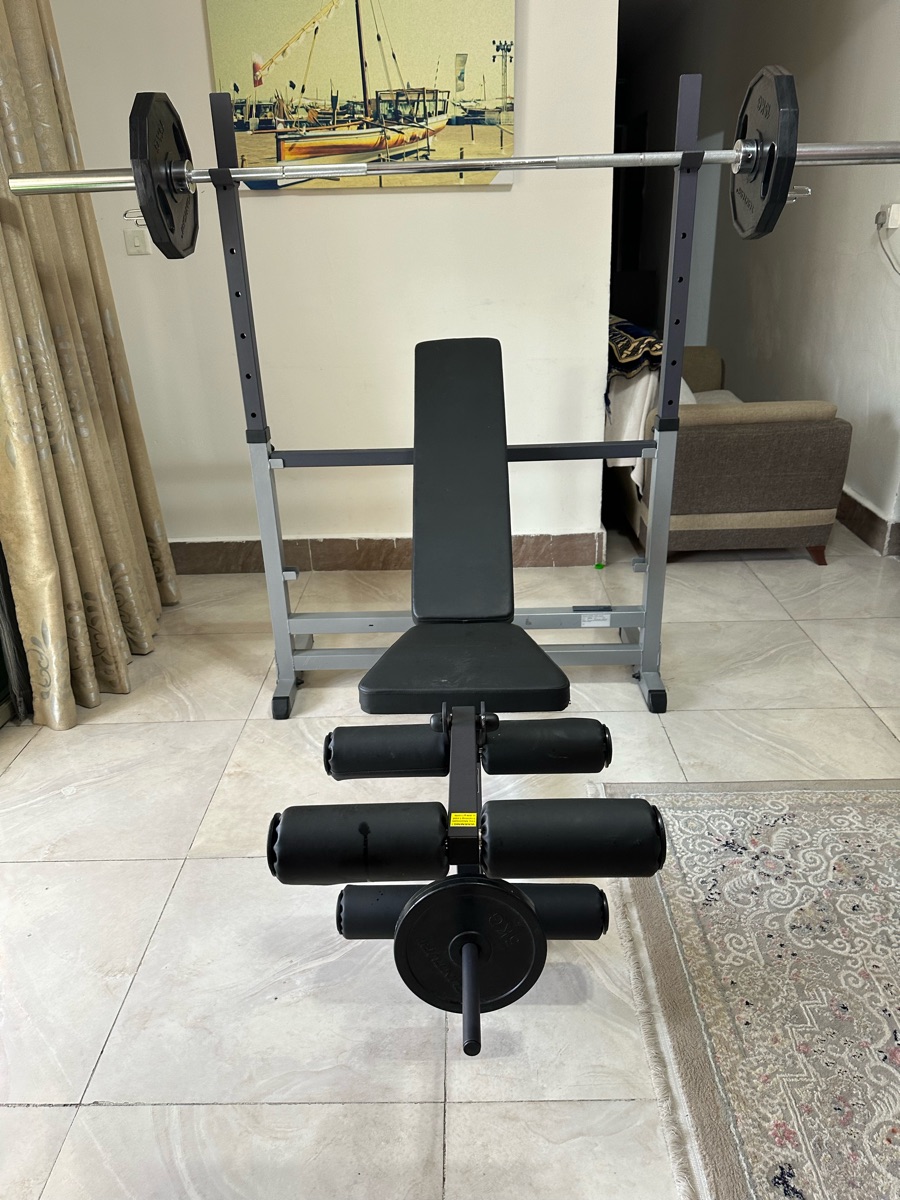 Standard Bench Home Gym with Bench Press and Leg Lifts - Image 1
