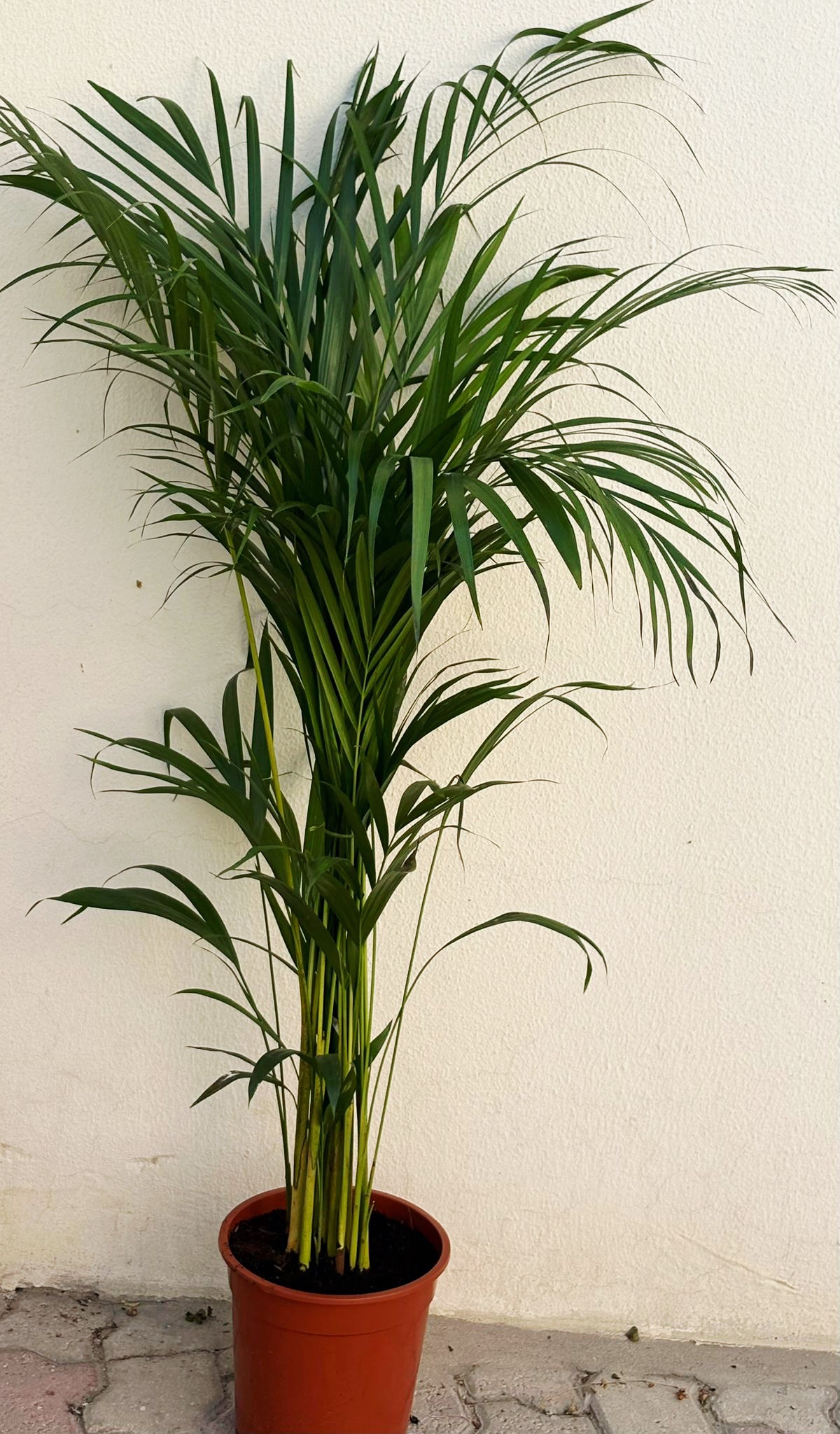  INDOOR AIR PURIFIERS  - Image 6
