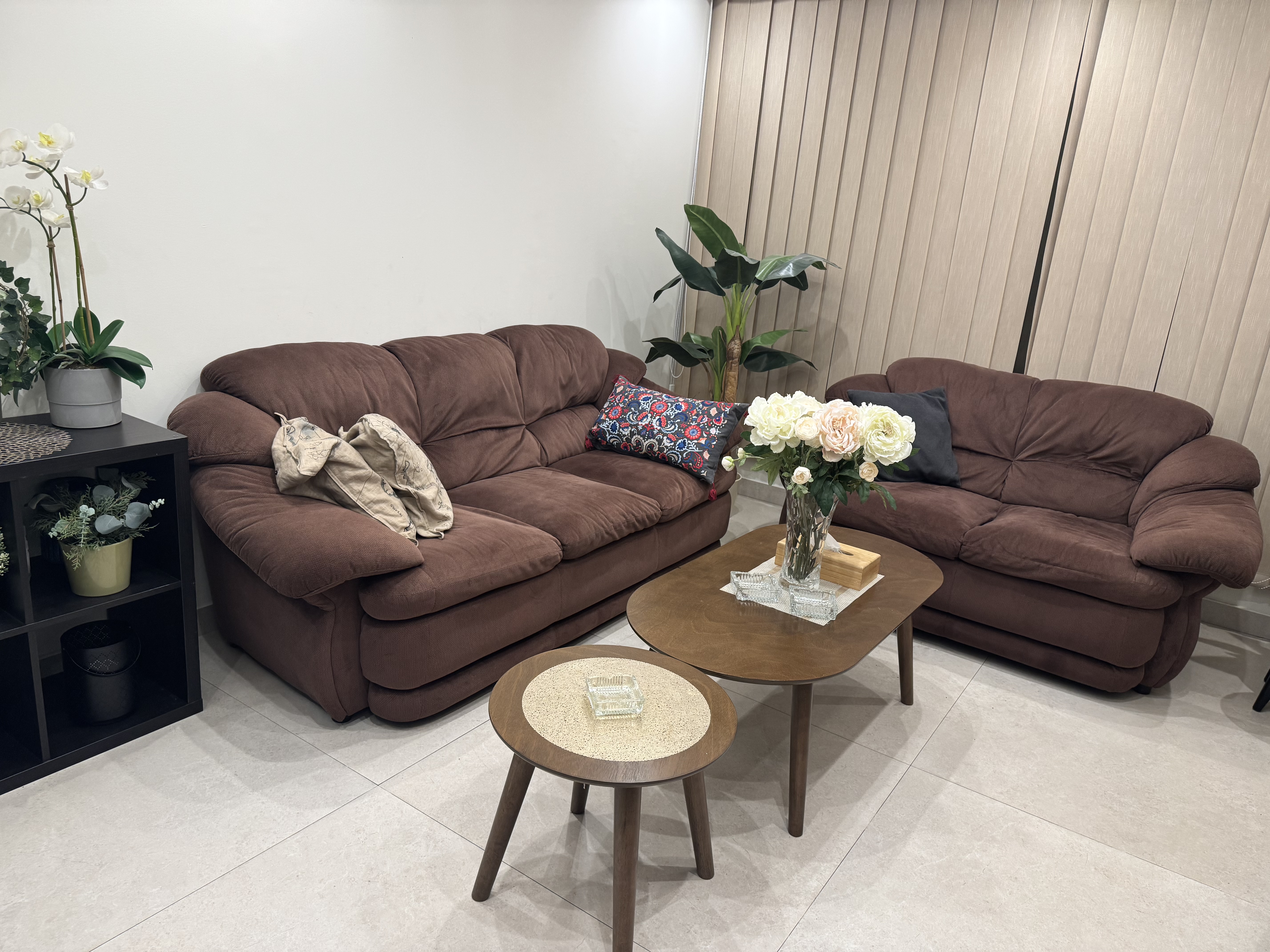 Couches & center tables - Image 8