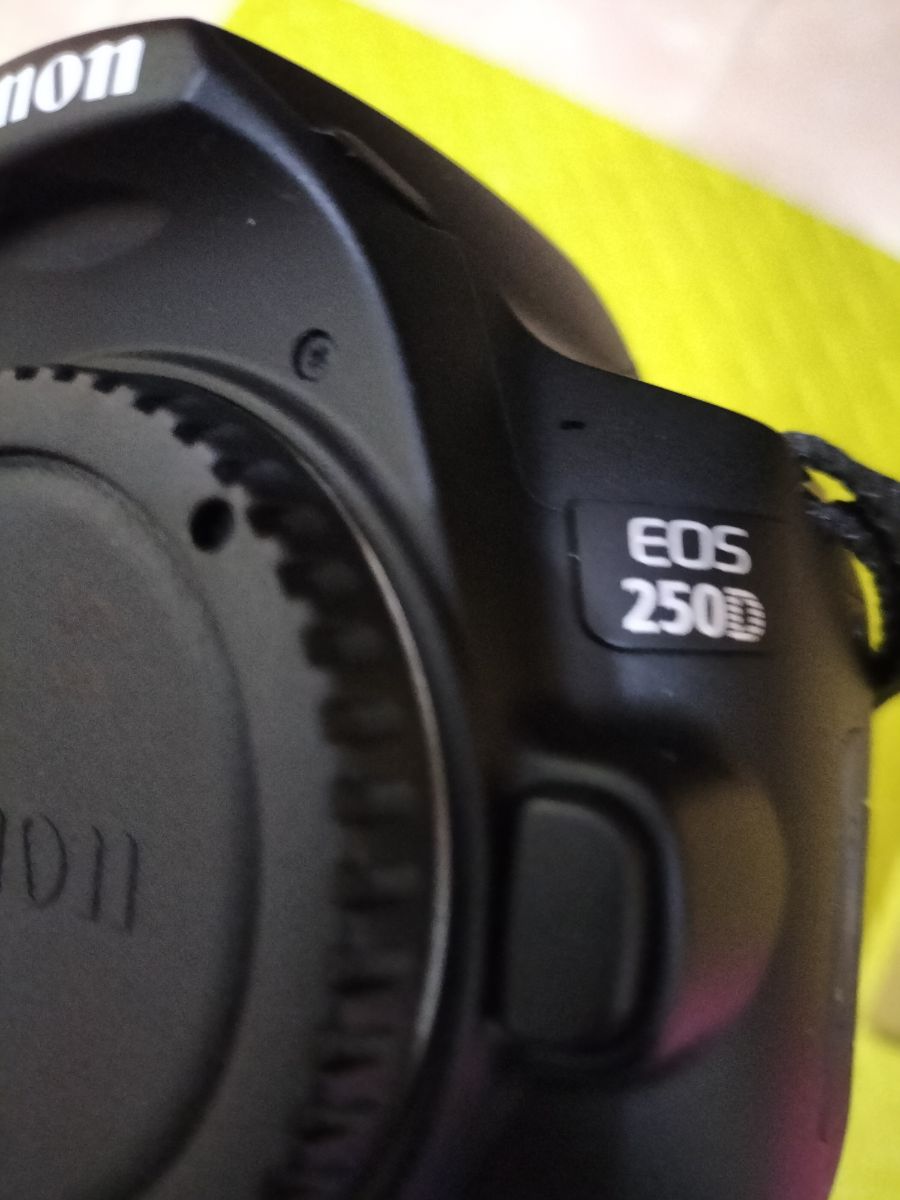 Canon EOS 250D DSLR camera + Canon EF-S 18-55mm f/4-5.6 IS STM Lens - Image 1