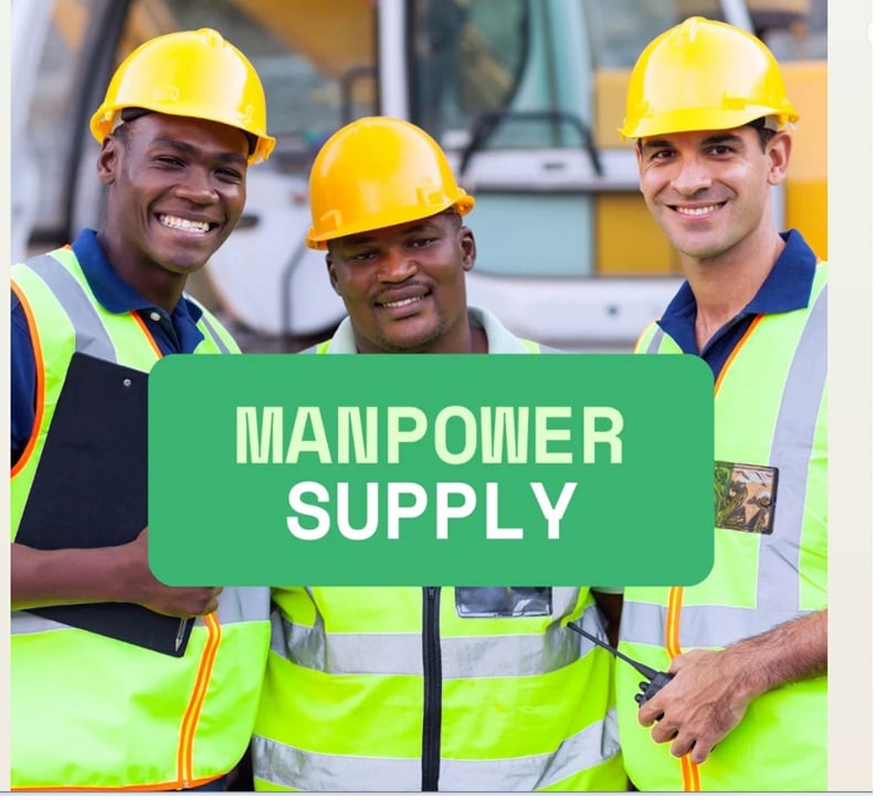 Manpower Supply (Professional) - Image 1
