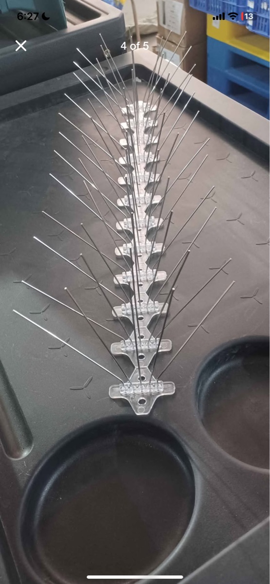 Bird spike - Image 4
